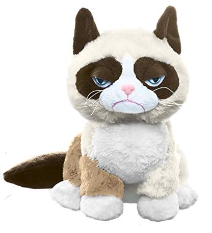 Ganz Grumpy Sitting Cat 8