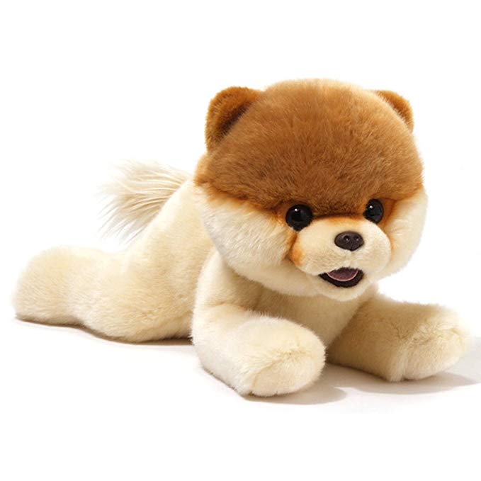 GUND Boo The World's Cutest Dog from Laying Down Plush