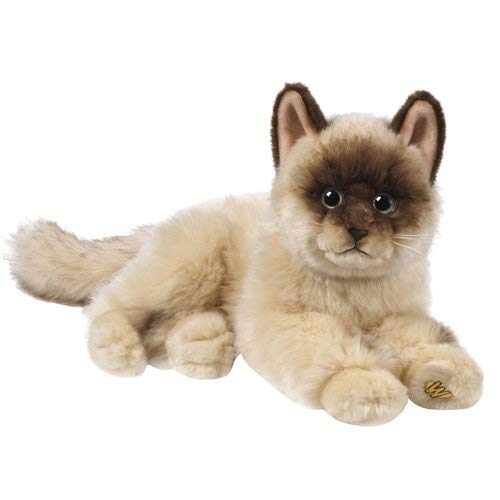 Webkinz Signature Ragdoll Cat with Trading Cards