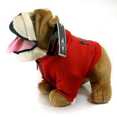 MINI Cooper Bulldog with Jacket