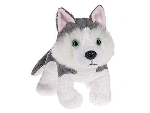 Webkinz Siberian Husky