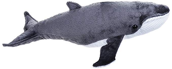 National Geographic Baleen Whale Plush - Medium Size