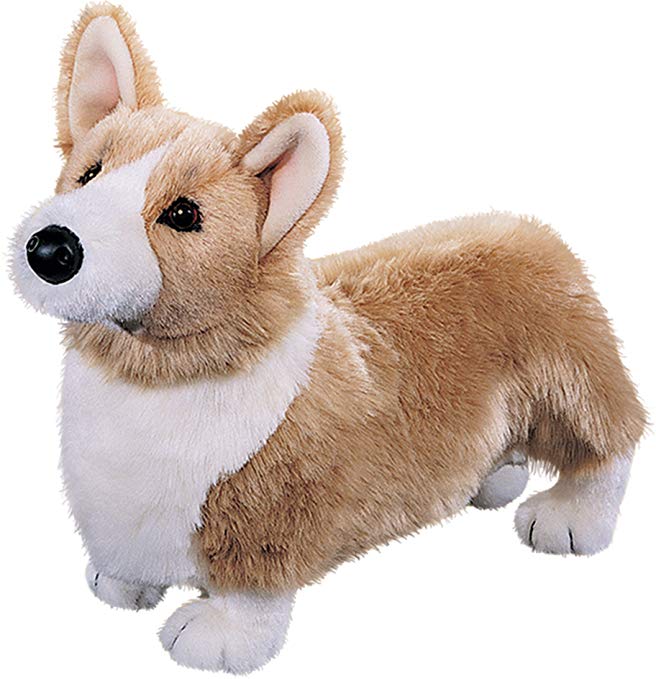 Chadwick Corgi